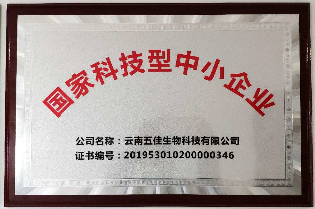 國家科技型中小企業