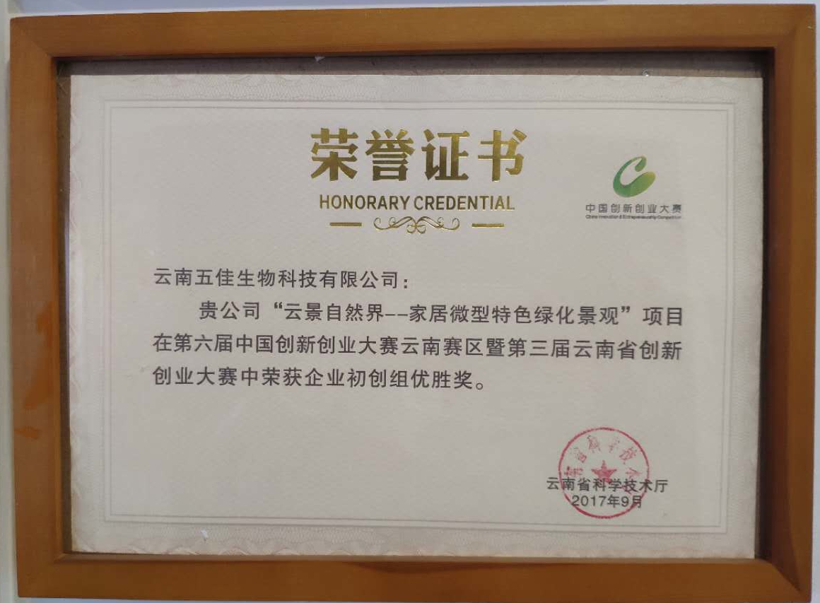 云景自然界——家居微型特色綠化景觀榮譽證書